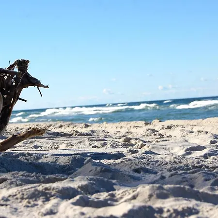 Salted Caramel Z Sauna Relaks Blisko Leby Zarnowska