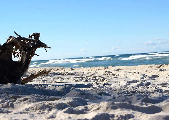 Salted Caramel Z Sauna Relaks Blisko Leby Zarnowska